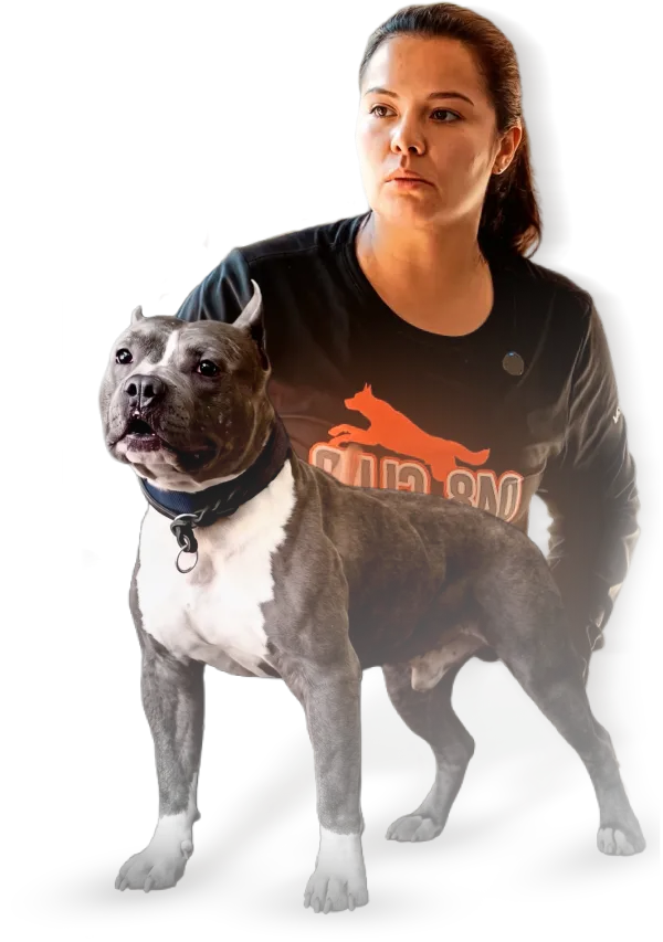 Beatriz Mattos em treinamento com American Bully