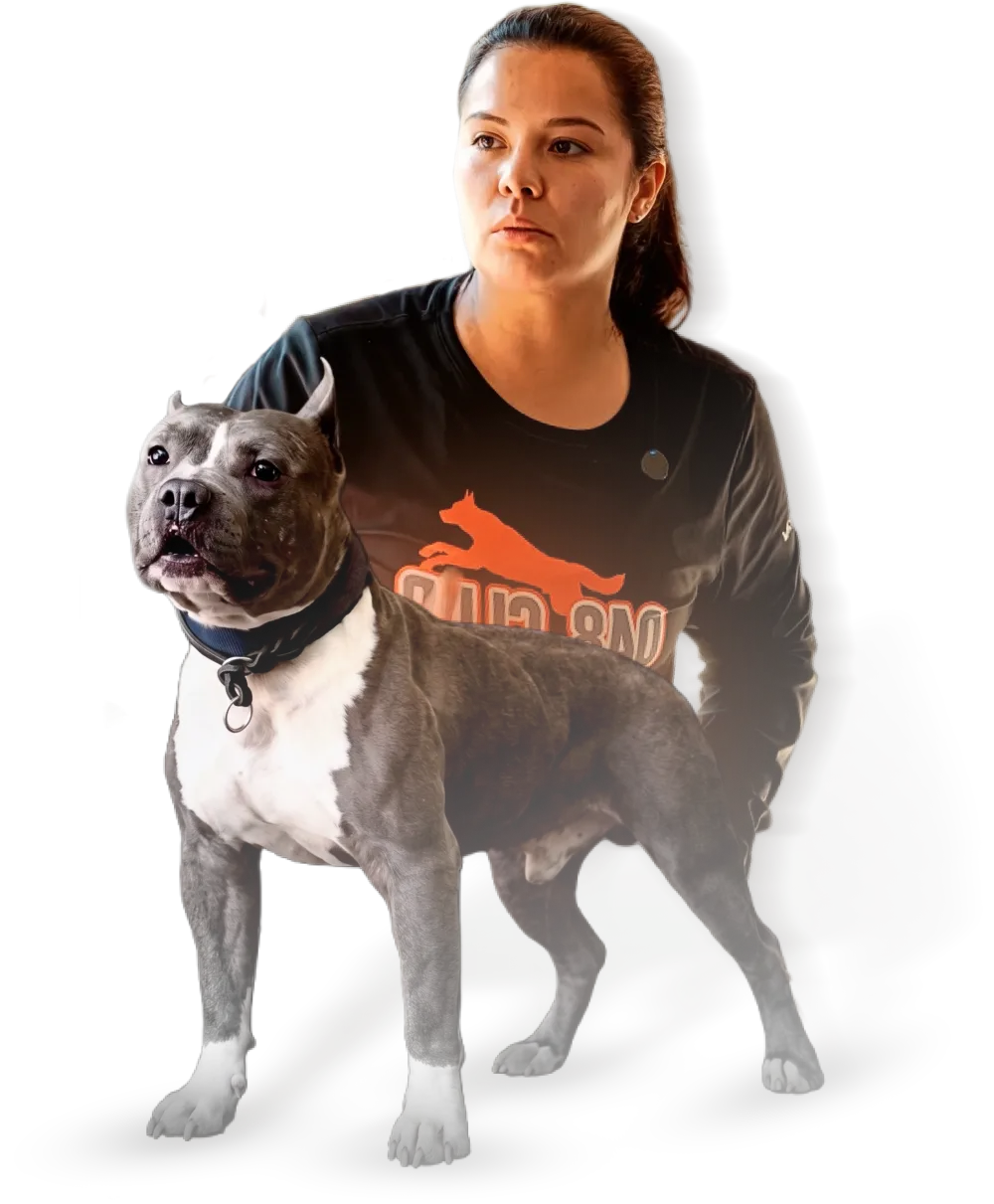 Beatriz Mattos em treinamento com American Bully